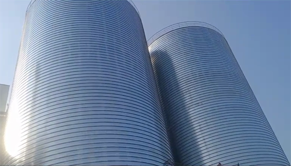 东湖2座混凝土高架卷板仓